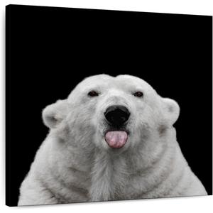 ElephantStock - Nothing Personal Wall Art - Square Canvas Wall Art - Living Room Wall Decor - Photography Polar Bear Canvas Art - Black And Gray Decor by Lars Van de Goor - 30" x 30"