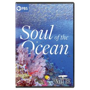 Nature: Soul Of The Ocean