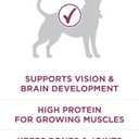 Purina ONE Plus Healthy Puppy Formula High Protein Natural Dry Puppy Food with added vitamins, minerals and nutrients - 8 lb. Bag (EXP 07/31/27)