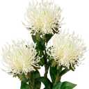 Hollyone 3Pcs White Artificial Flowers Mums Spider Mum Flower Fall 28.3'' Long Stem Fake Chrysanthemum Flowers Leucospermum Cordifolium Arrangement Faux Pincushion Flower for Office Bouquet Home Decor