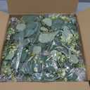 Mkono Farmhouse Wall Home Sign with Artificial Eucalyptus for O Rustic Wooden Hanging Letters Decorative Wall Art Decor for Living Room Kitchen Entryway Housewarming Gift, Large, Brown (11.8"L x 11.4"W)