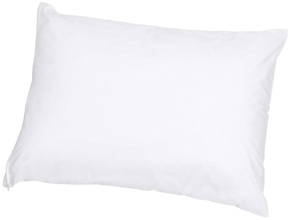  Pillow, Standard, 30" L x 20" W, White