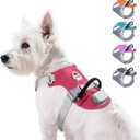 Taglory LED Dog Harness with AirTag Holder, No Pull Light Up Dog Vest for Night Walking, USB Rechargeable Pet Safety Harness with 2 Metal Clips, Adjustable Soft Vest for Small Dogs (Rose Pink, S) (Melon Red)
