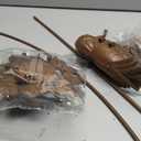 Rusty Metal Hummingbird Garden Stake, Large Size Realistic Lifelike Outdoor Yard Art Decor Sculpture