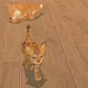 My Universe: Puppies and Kittens - PlayStation 4