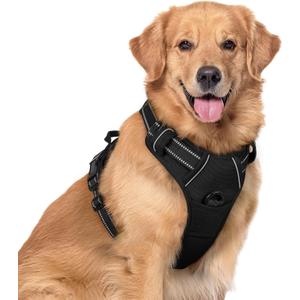 rabbitgoo Dog Harness No Pull with 2 Leash Clips, Adjustable Soft Padded, Reflective Oxford No Choke Pet Vest with Easy Control Handle for Large Dogs, Black, XL