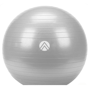 TRAJECTY ANTIBURST STABLTY BALL 55 CM GRY