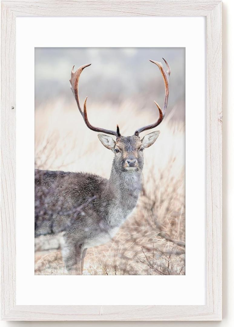 20x30 Picture Frames, 20"x30" Poster Frame for Wall, 20 x 30 Rustic Wood Frame with Real Tempered Glass, Display Poster 16x24 with Mat or 20 x 30 Without Mat, White, 1 Pack