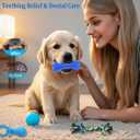Beiker 20 Pack Puppy Chew Toys - Blue Dog Teething Toys for Puppies, Puppy Teething Rings and Ropes, Rubber Toy Bundle for Small Dogs, Cute Interactive Dog Balls for Small Breed