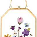 Pressed Flower Frames, Glass Floating Frames for Display Dried Plant Specimen Picture, Hanging Brass Photo Frame with Chain, Double Clear Glass, Vintage Wall Decor, Octagon, Gold, 4x6 Inches | Floating Frames for Display Dried Plant Specimen Picture