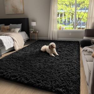 Ophanie Upgrade 2x3 Rugs for Bedroom, Black Fluffy Shaggy Soft Area Rug, Non-Slip Indoor Floor Carpet for Living Room, Kids Baby Boys Teen Dorm Home Decor Aesthetic, Nursery