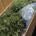 4ft Boxwood Ball Shape Artificial Topiary Tree Porch Decor, Outdoor Plants 2Pack