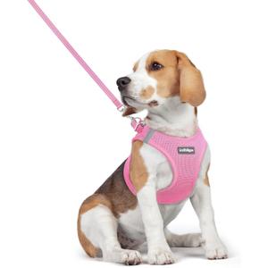 rabbitgoo Dog Harness Small Medium Sized and Leash Set, Step in Soft Light Puppy Vest, Breathable Mesh Pet Harness, Reflective for Safe Easy Walking, Light Pink L (L (Chest: 18.2 - 20.5"))