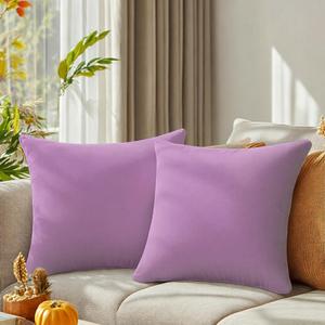 QUORGVES Light Purple Velvet Pillow Covers 16x16 Inch Set of 2, Soft Solid Decorative Square Throw Pillow Covers, Decor Cushion Covers for Bed Sofa Couch Bedroom Living Room - Mauve