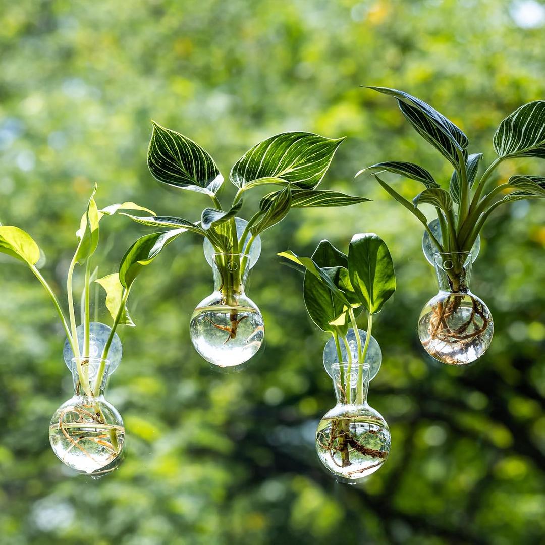 Window Propagation Stations, Propagation Vases for Plants, Bulb Glass Vases with Suction Cup Hooks, Easy to Install Nailless Hanging Wall Planter, Hydroponics Plant Propagation Station (4)