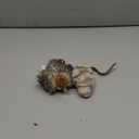 Gigwi Automatic Cat Toys Pack, Interactive Electronic Squeaky Animals Bird and Mouse, Plush Toys for Cats to Play Alone, 2 Pcs