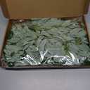 24Pcs Artificial Italian Ruscus Greenery Stems,Silk Greenery Plants Spray Faux Green Leaf Garland Branches Hanging Green Spray Decoration for DIY Wedding Arch, Bouquet,Home Decor