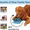 MateeyLife Slow Feeder Dog Bowls 2PCS, Anti-Choking Puzzle Dog Food Bowls, Anti-Slip Interactive Feeding Slow Down Eating, Bloat Stop Maze Dishes for Medium Breeds