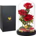 Valentines Day Gifts for Her, Beauty and The Beast Rose in Glass Dome, Anniversary Rose Gifts for Wife, Valentines Flowers Birthday Gifts for Women, Romantic Red Silk Rose Flower Gifts for Women
