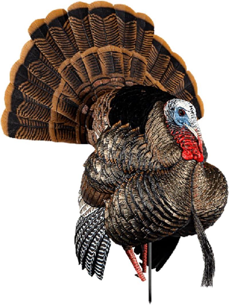 AVIAN-X HDR Strutter Turkey Decoy - Rugged Durable Realistic Lifelike Dominant Body Standing Hunting Decoy with 2 Removable Heads & Wings, Beard, Adjustable Tail Fan, Mounting Stake & Carry Bag