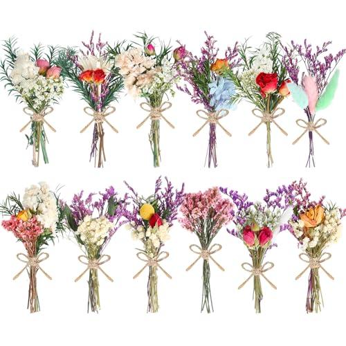WGXX 10/12/24/36 Pack Mini Dried Flowers for Vase Wedding Various Mini Bouquet Dried Small Wildflowers Natural Flowers Bulk for Crafts DIY Decor (12, Romantic Colour)
