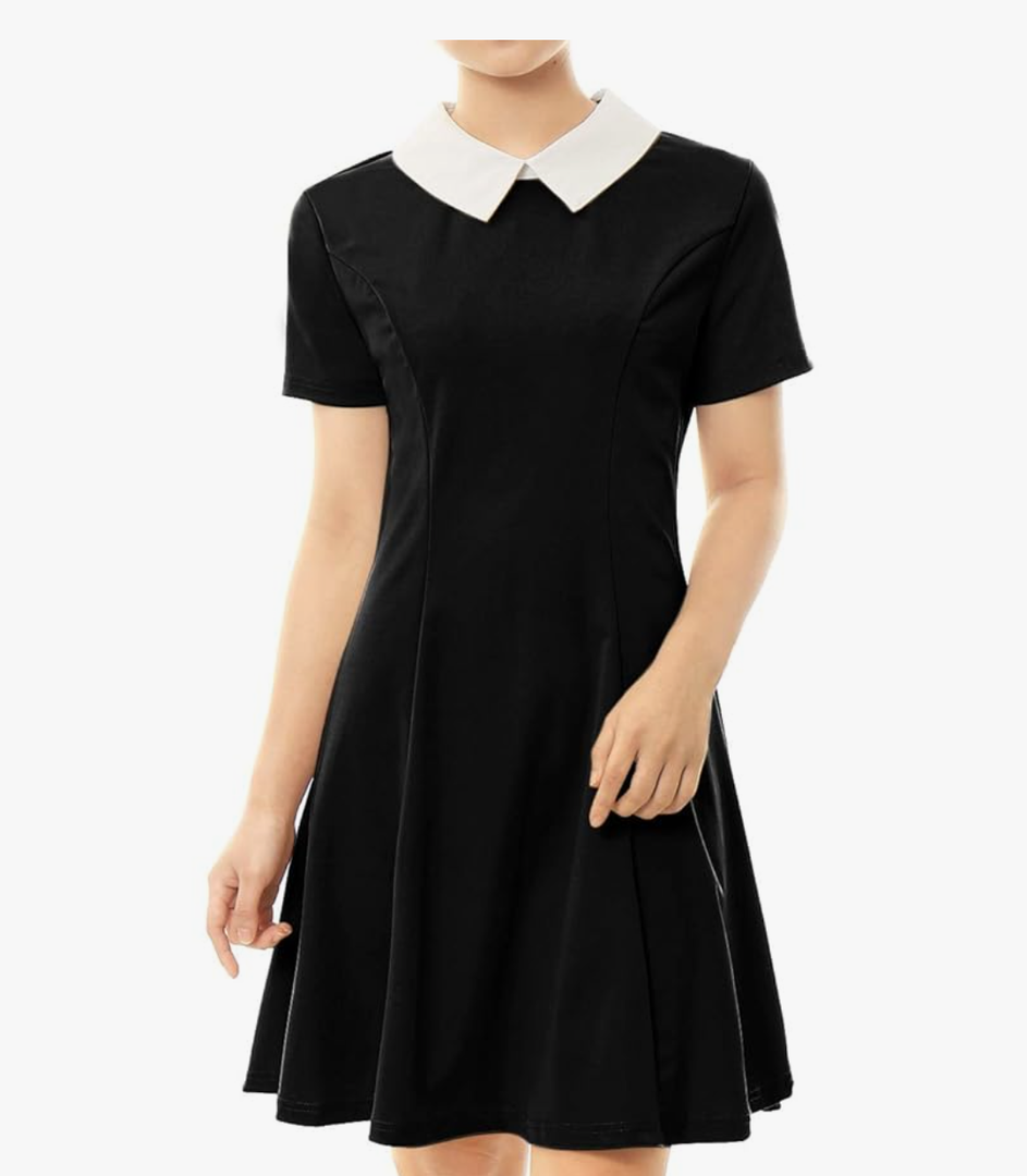 Allegra K Women's Short Sleeve Peter Pan Collar Cute Dress Casual Flare Skater Mini Dress Maid Costume (L)