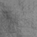 SincoPet Washable Dog Pee Pads with Puppy Grooming Gloves,Puppy Pads,Reusable Pet Training Pads,Large Dog Pee Pad,Waterproof Pet Pads for Dog Bed Mat,Super Absorbing Whelping , 52×50 Inc, 2 Pack