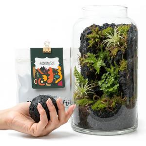 Terrarium Modeling Soil Mix, Glass-Adhesive, Terrarium Substrate, Adhesive Soil, Moss Wall, Vertical Natural-Looking for Miniature Scenes, Fairy Gardens & Plant Displays (16 oz)