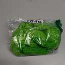 QWINEE Basic Dog Hoodie Sweatshirt Puppy Sweater Warm Cat Costumes Pet Clothes for Chihuahua Puppy Kitten Small Dogs, Green