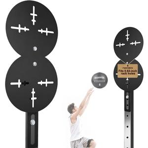Rack Mounted Wall Ball Target
