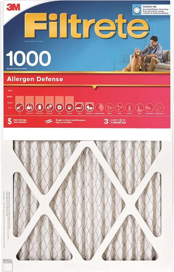 AIR FLTR 20X30X1 1000MPR