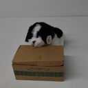 Bearington Black & White Dog 13 in Stuffed Dog - Puppy Stuffed Animal - Plush Shih Tzu Animal (Butch)