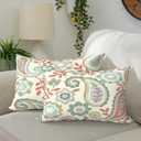 DYTXIII Pack of 2 Waterproof Outdoor Lumbar Pillow with Inserts, 12x20 in Rectangle Decorative Patio Throw Pillow for Home, Sofa,Bench and Patio Furniture, Paisley Vintage
