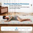 Aircliff Japanese Floor Mattress, Roll Up Tatami Mat, Sleeping Pad, Shikibuton, High Density Foam Floor Bed Futon Mattress for Sleeping, Dormitory, Guest Bed, Designed in Japan(Twin)