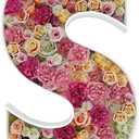 2FT Letter S Mosaic Balloon Frame Letter DIY Fillable Letters Kit for Birthday Party Wedding Backdrop Decor