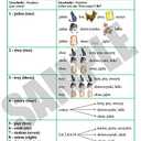 I Can Write In Polish: Polish Language For Beginners