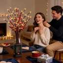 GOESWELL Lighted Branches Tree Lights: 18In Brown Willow Twig Light with Timer for Vase Decor - Tree Branch Light with 60 Warm White LED for Tabletop Living Room Indoor Decoration