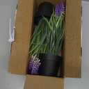 MONOID 2 Pack Artificial Hyacinth Plants - Realistic Fake Muscari Flowers in Black Pots, Small Desktop Decor Set for Home Office Bathroom, No Water Needed, Purple