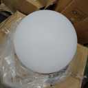 12 Inch Dimmable LED Ball Light