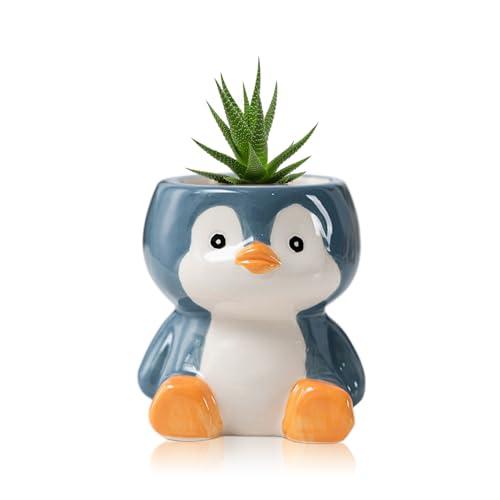 DIYOMR Cute Animals Planter, Mini Ceramic Cartoon Animal Shaped Succulent Flower Pot Indoor Air Plants Holder, Smooth Shiny Decorative Flower Cactus Planter - Plants Not Included (Penguin)
