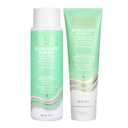 Pacifica Shampoo & Conditioner Set Rosemary Purify Invigorating Set with Cooling Mint for Clarifying and Detoxing, Sulfate-Free, Vegan & Cruelty-Free, 12 oz & 8 oz (Set of 2)