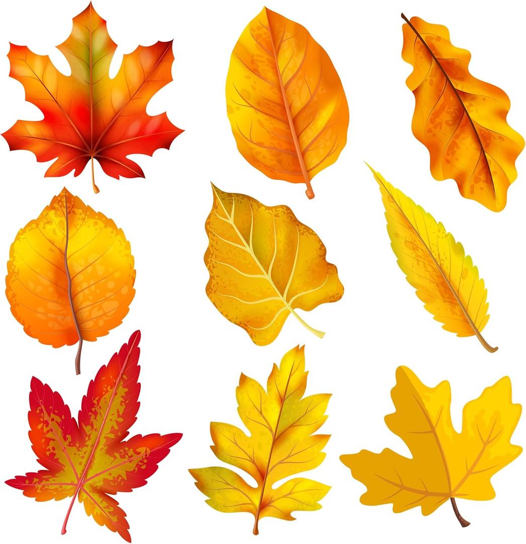 Lucleag 45 PCS Fall Maple Leaves Cutouts for Bulletin Board Decoration, Autumn Leaves Cutouts Fall Leaf Cut Outs for Thanksgiving Fall Autumn Party School Classroom Bulletin Board Decorations