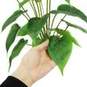 Beebel Artificial Flower 17 inches Calla Lily Silk Plant Fake Bonsai Flowers Greenery Plants for Indoor Outdoor Home Office Bedroom Table Centerpieces Party Decoration 2 Pack (Yellow, 2)
