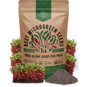 Organo Republic Beet Sprouting & Microgreens Seeds - 20,000 Non GMO Heirloom Seeds, Sprouts in Bulk 1lb Resealable Bag for Planting and Growing in Soil, Coconut Coir, Aeroponic & Hydroponic System