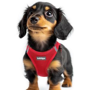 rabbitgoo Small Dog Harness, Step-in Soft Mesh Puppy Vest with Safety Buckle, Breathable Reflective Pet Harness for Extra Small Dogs, Red, XXS (Chest: 12.4"-14.2")