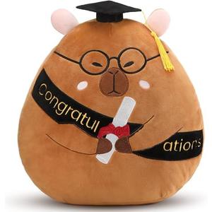 Chalyna 10 Inch 2025 Graduation Gift Capybara Stuffed Animal Plush with Diploma Tassel Graduation Hat Embroidered Blessings Preschool Kindergarten Gift for Student, Friends, Relatives and Kids