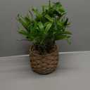 Fake Bamboo Tree Plant