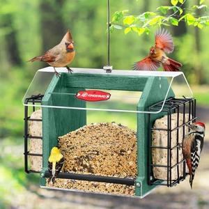 Kingsyard Hopper Bird Feeder for Outdoors Hanging, Recycled Plastic Double Suet Feeder with Clear View Windows, 3 LBS Seed, Cardinal Woodpecker Bluebird Feeder, Green