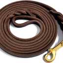 Guiding Star Leather Dog Leash for Small Dogs 6 ft Up to Medium Dogs, Small Thin Dog Leash for Puppies and Cats (1/3 inch Wide, 6 Feet, Brown)