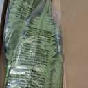 35" Ferns Artificial Bush Plants Large, 2 Artificial Boston Ferns with 39 Fronds for Outdoors Home Decor